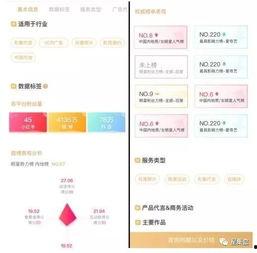 爆料盒子 明星资讯是什么意思,明星资讯背后的真相与内幕